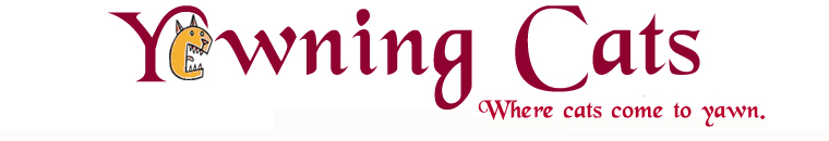 Welcome to Yawning Cats