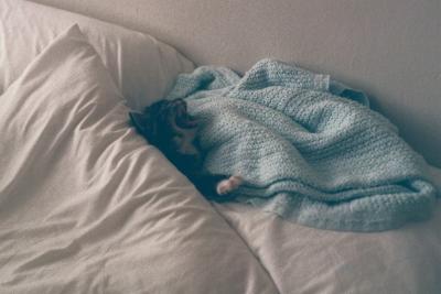 Yawning Cat Number 67