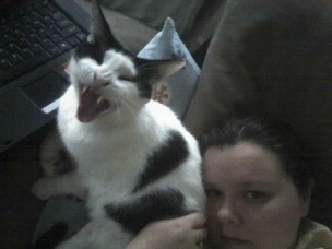 Yawning Cat Number 94