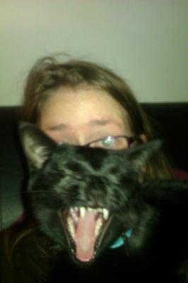 Yawning Cat Number 238